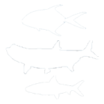 trioFish_footer